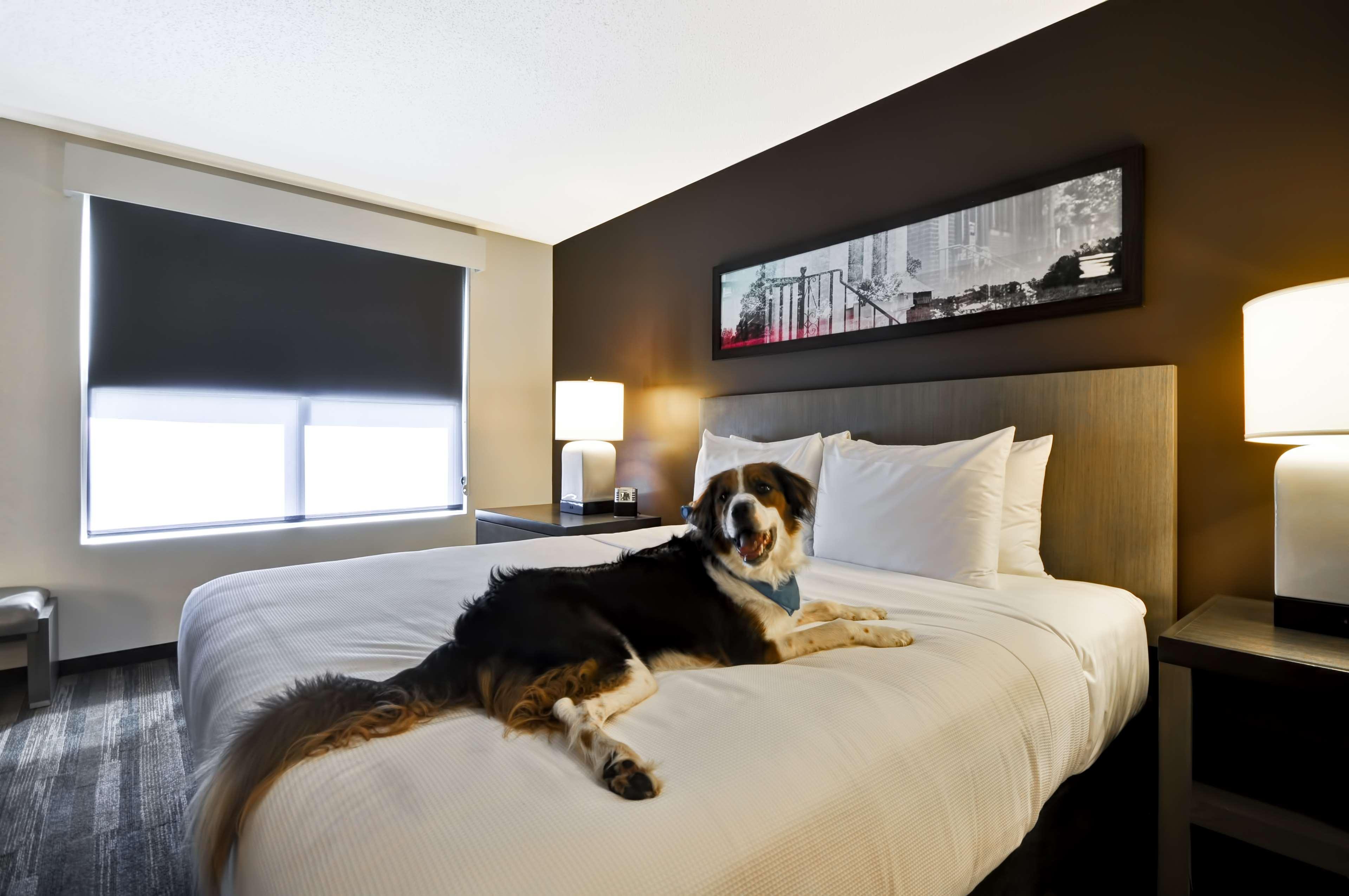 סמירנה Hyatt House Atlanta Cobb Galleria מראה חיצוני תמונה