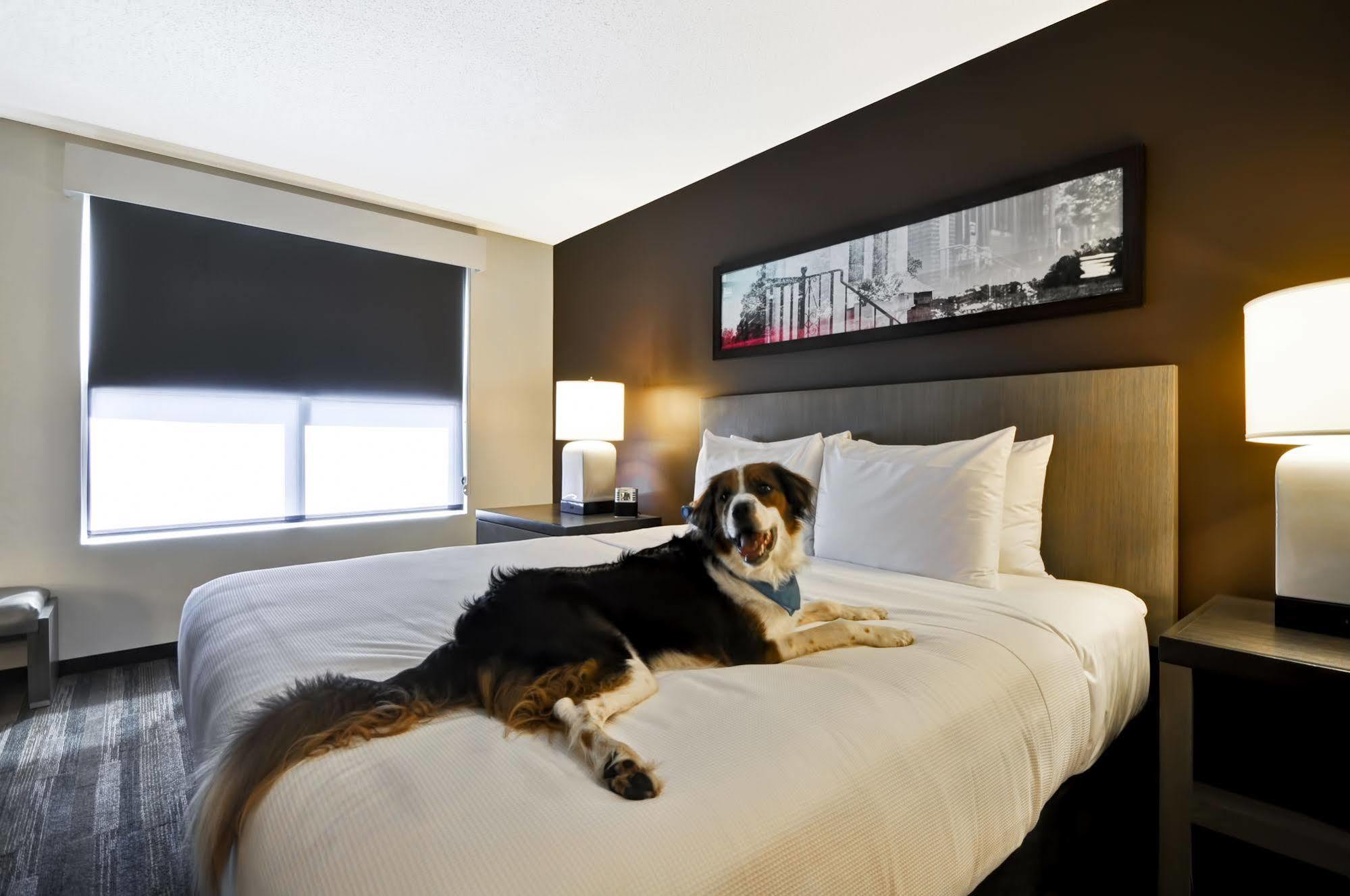 סמירנה Hyatt House Atlanta Cobb Galleria מראה חיצוני תמונה